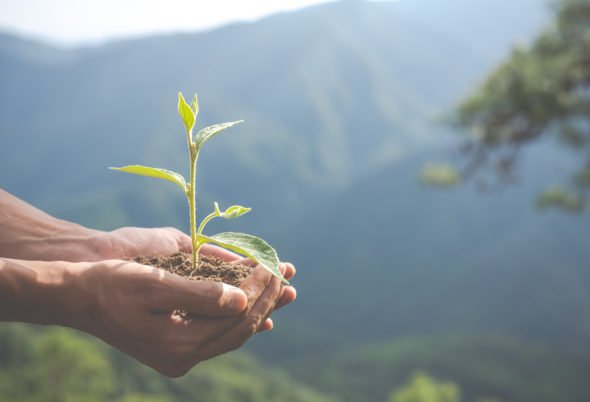 Quizz : Êtes-vous incollable sur l&rsquo;environnement ?